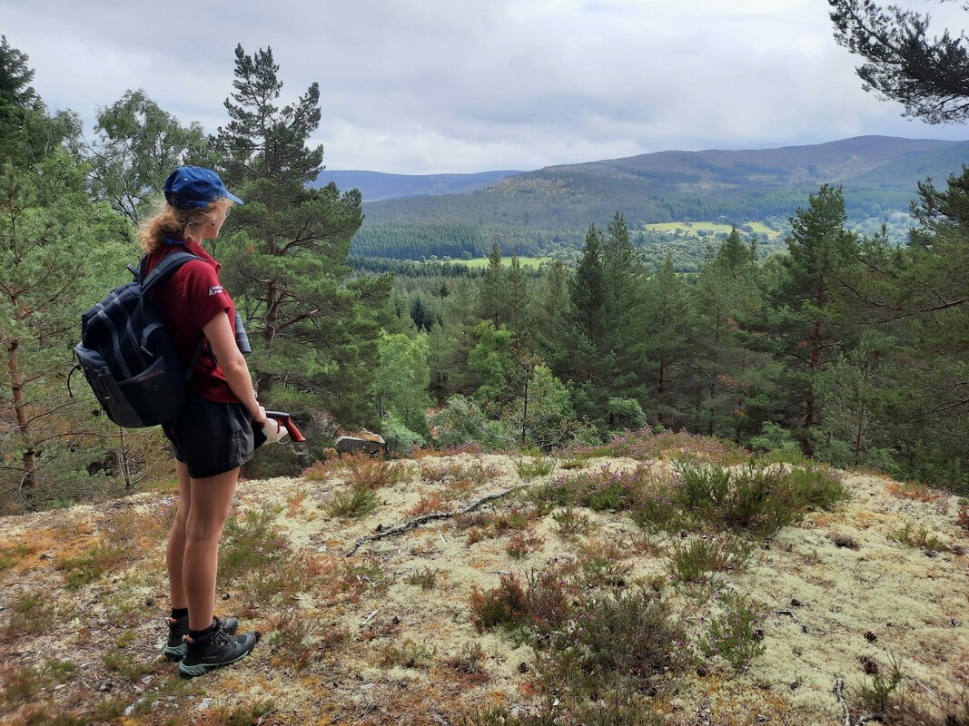cairngormsnews's tweet image. We have an exciting opportunity for a Seasonal Ranger to join our team in Badenoch and Strathspey and encourage people to have a safe, enjoyable and responsible visit to the National Park🌱

More: careers.cairngorms.co.uk/Cairngorms/Job…

Applications close 18 June at 23:59pm.

📸Liam Anderstrem