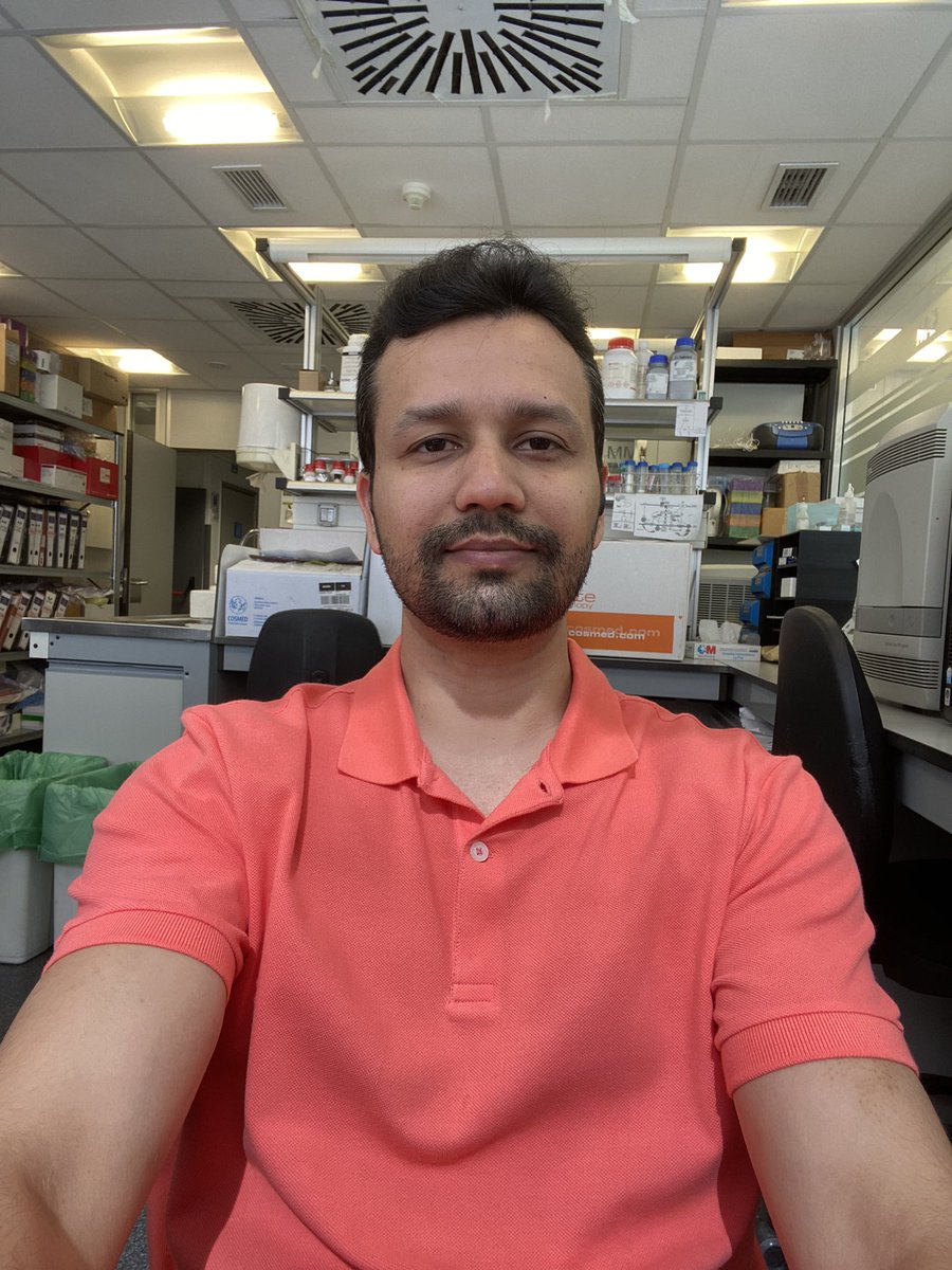 Pouya Alikhani tweet media