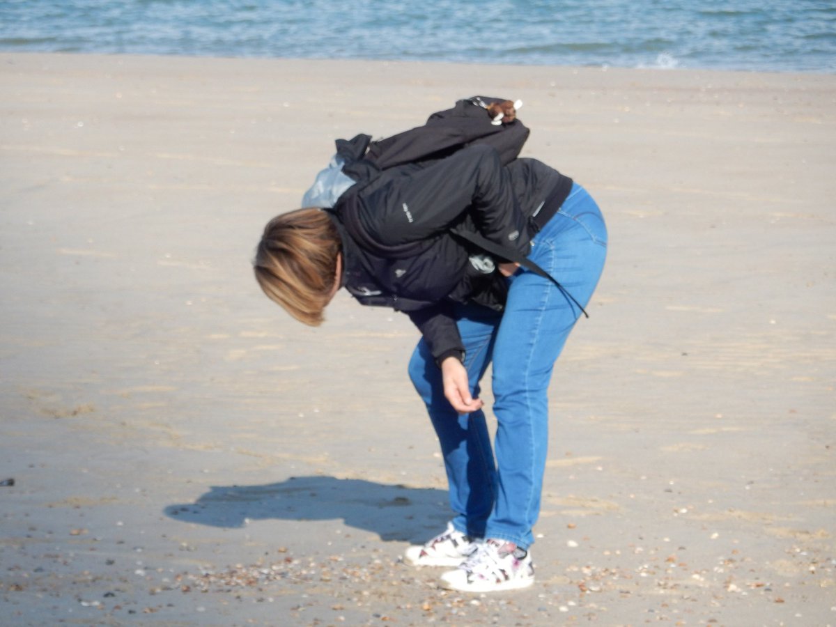 HesterLoeff's tweet photo. Excursies! De #Maasvlakte is een bijzondere plek voor het vinden van fossielen uit de IJstijd: mammoet, neushoorn, reuzenhert. 

Zo 23 juni en zo 7 juli om 10:00 weer excursies €17,50 pp (geldt voor elke leeftijd). Excursie duur +/- 2 uur. DM voor aanmelden! 

Repost = lief! https://t.co/BpFbbsg88X