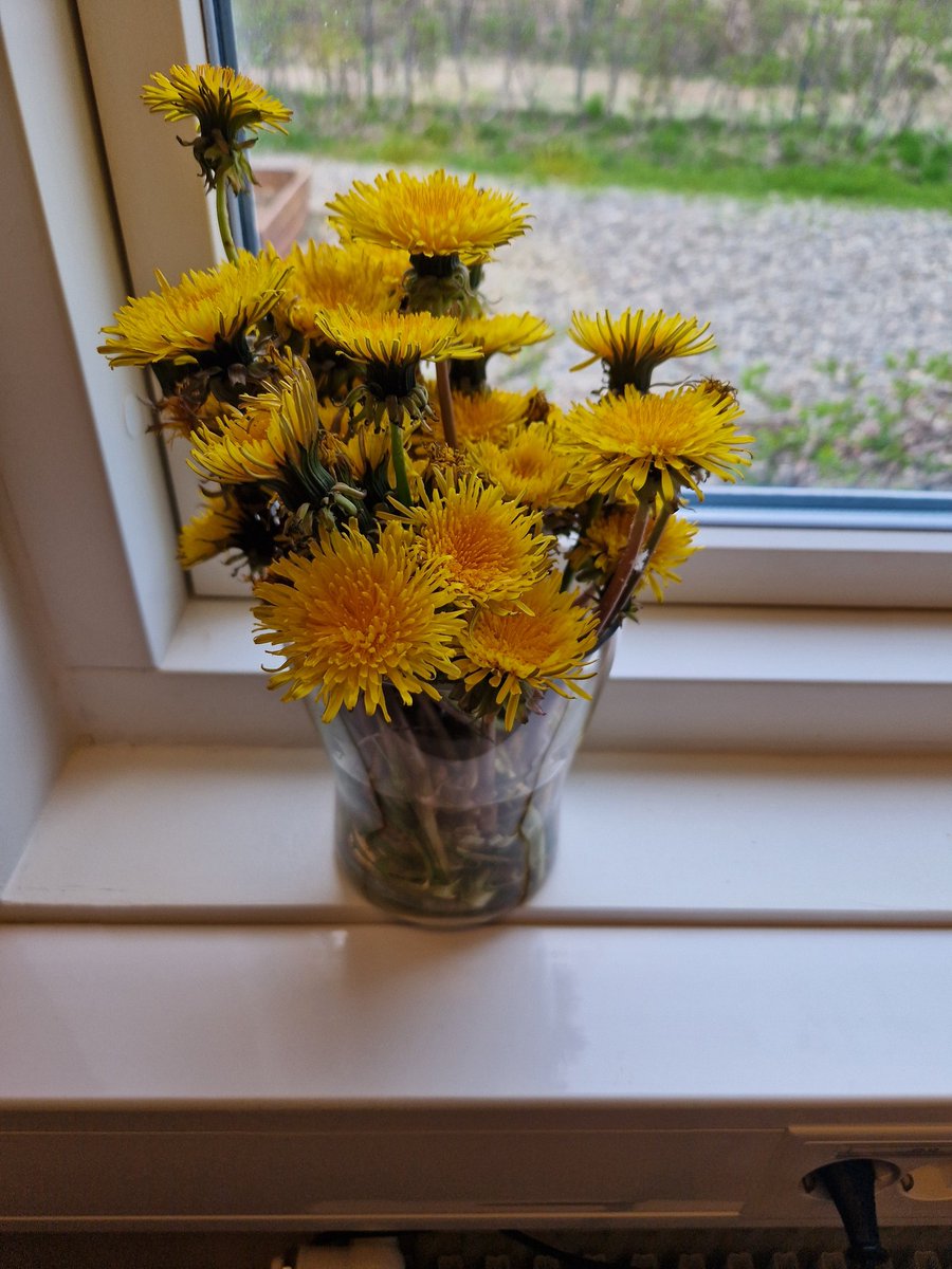 - hver gaf þér allar þessar rósir?
Dásamleg fimm ára börn sem sjá engan mun á fíflum og rósum