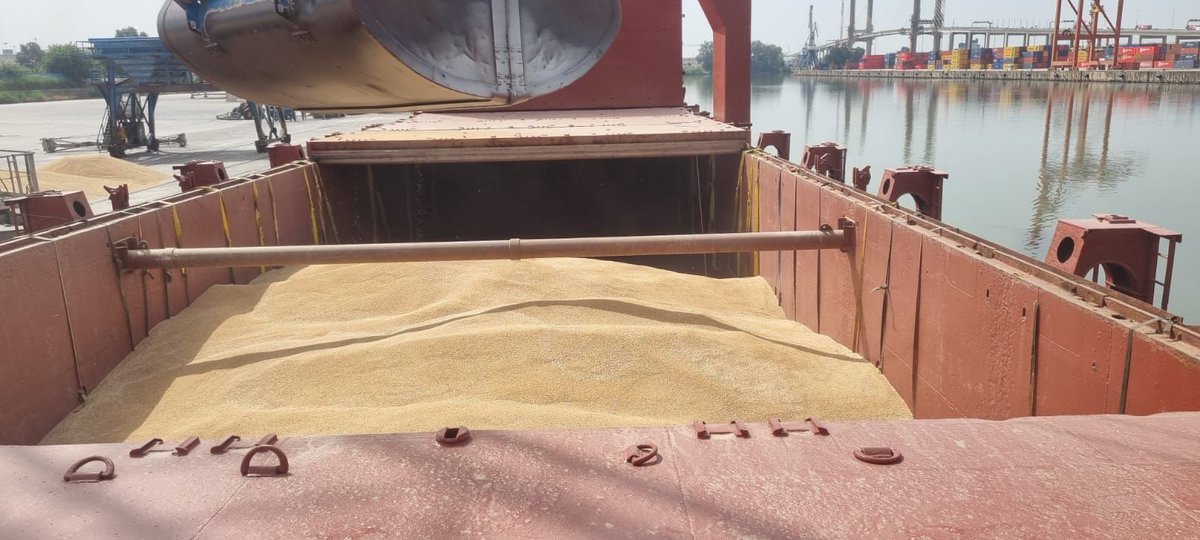 Fotos recientes del día de hoy a pleno muelle del Puerto de #Sevilla. 
En esta ocasión se trata de una nueva carga de trigo de exportación, 4.700 tn con el buque Doa Glory y cuyo destino es Pozallo, una localidad de Sicilia (Italia).