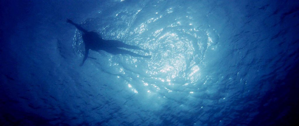 JawsCinema's tweet photo. J’ai envie de profiter de la sortie de #SousLaSeine pour vous donner mon top 10 des meilleurs films de requins : 

1) Les Dents de la Mer (1974)

Le classique du genre. Chef-d’œuvre indémodable qui a traumatisé des millions de personnes. https://t.co/UjQP8bUOIy