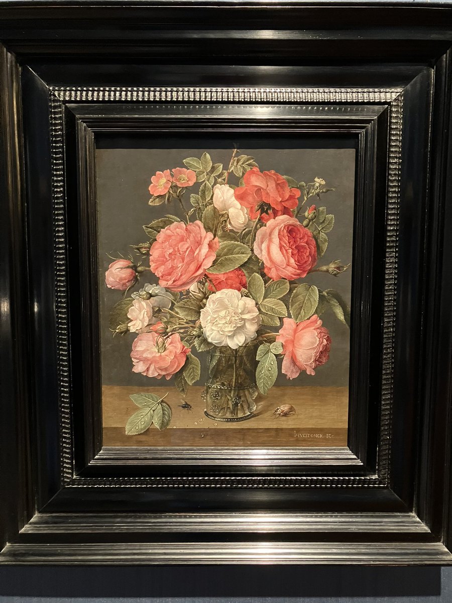 ThomasZitzwitz's tweet photo. Some favorite paintings @mauritshuis https://t.co/Tfqp6xtGZN