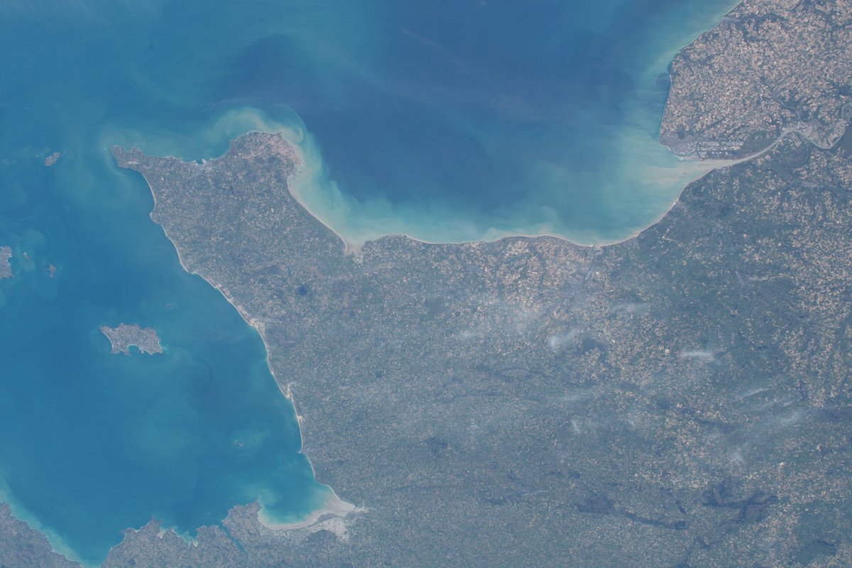 AstroDrewMorgan's tweet image. On this day, #dday , 80 years ago, allied forces began Operation Overlord, World War 2’s land invasion of Europe across the English Channel through Normandy’s coast.  My great Uncle Harry “Clink” McClintock was a brave paratrooper in the 501st Parachute Infantry Regiment, 101st…