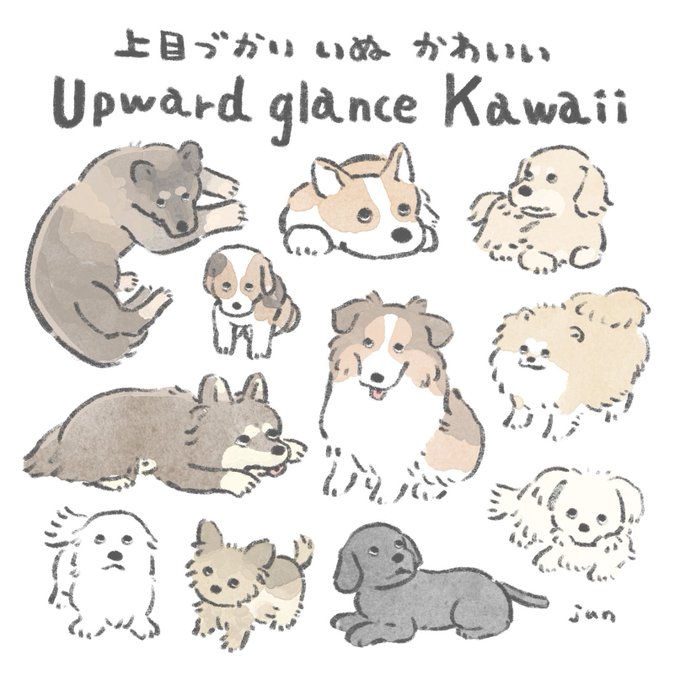 上目づかいかわいいいぬドッグたち 
