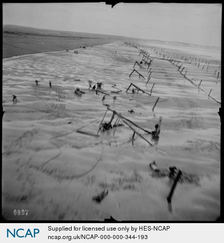 DOS & ACIU Projects: Historic Aerial Photography tweet media