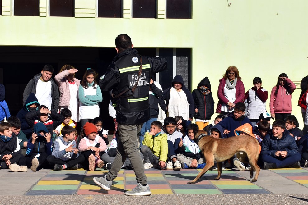 gobdecordoba's tweet photo. 🌱 Una jornada para conmemorar el Día Mundial del Ambiente.
🌎 Policía Ambiental brindó capacitaciones a más de 200 estudiantes de #Marull y de #ColoniaLasPichanas, para impulsar acciones que motiven a la comunidad a proteger el ambiente y los recursos naturales. https://t.co/8cestR5zQ6