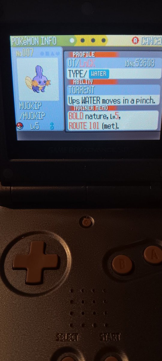 DRACO305959's tweet photo. So after about 6 months of on and off attempts to get this beauty my clicker said 2367 resets but i didnt track all of at certain times so about 3000 resets i finally got this bad boy nostalgia overload #POKEMON #gamefreak #pokemonruby https://t.co/2wf8Hzp8rT
