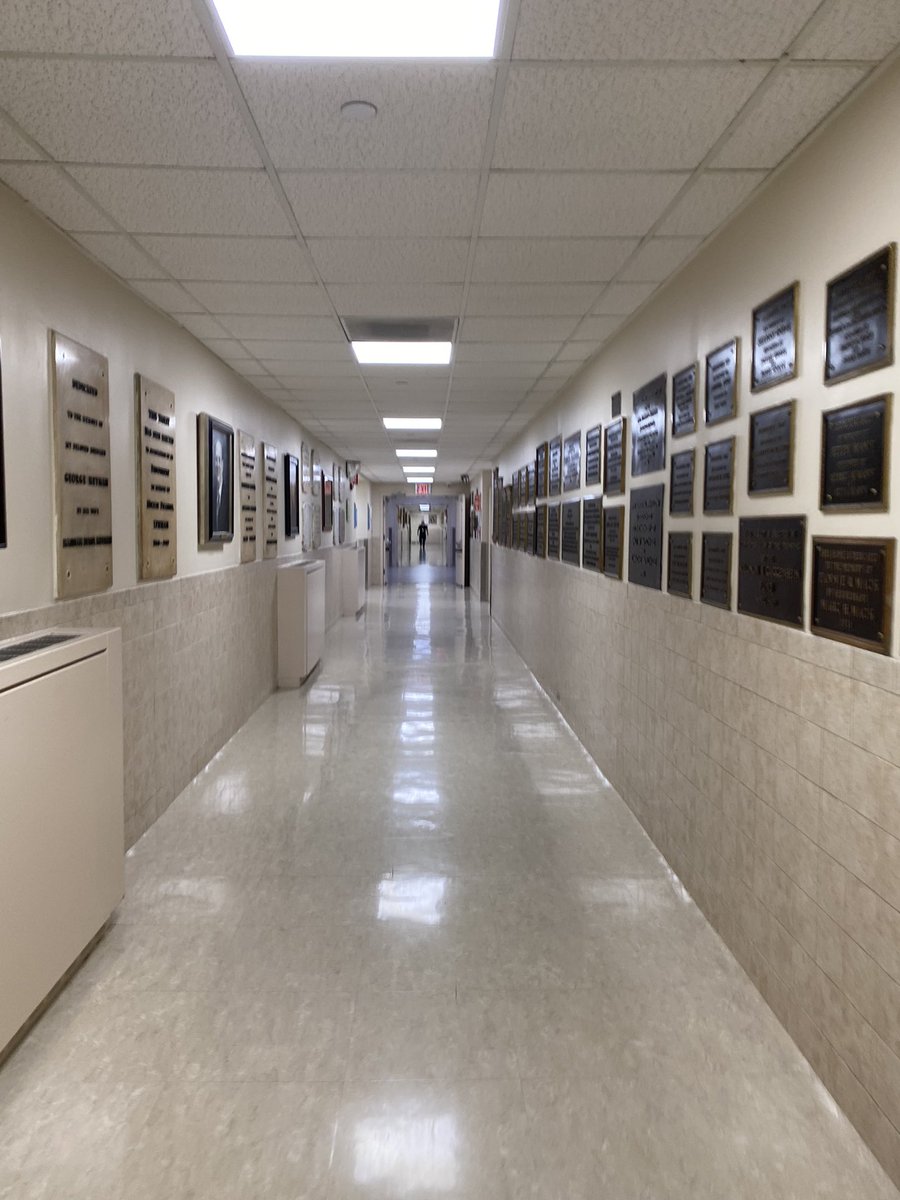 Dr. Edlira Tam tweet media