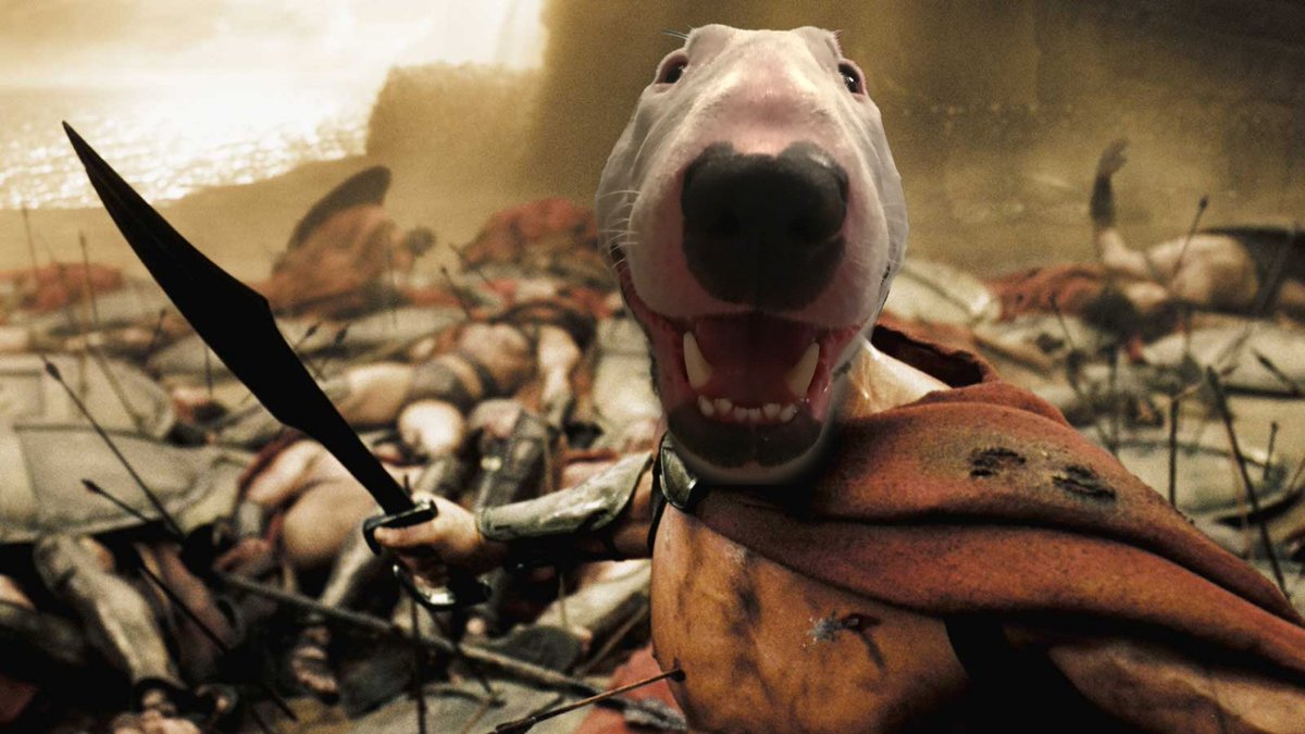 <a href="/phantom/">Phantom</a> Study $NELSOL

<a href="/WalterOnSol/">Walter</a>