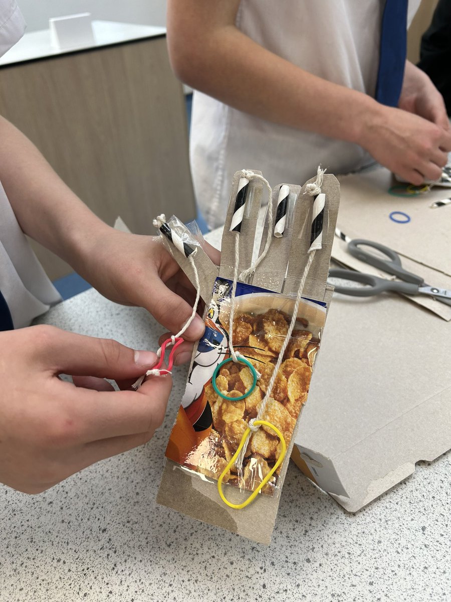 Miss Murphy (@missmurphybio) on Twitter photo Science Club have been investigating the uses of robotics and got creative to make their own βbionic handsβ π¦Ύπ¦Ύ
<a href="/BoclairBiology/">Boclair Academy Biology</a> Science Club have been investigating the uses of robotics and got creative to make their own βbionic handsβ π¦Ύπ¦Ύ
<a href="/BoclairBiology/">Boclair Academy Biology</a>