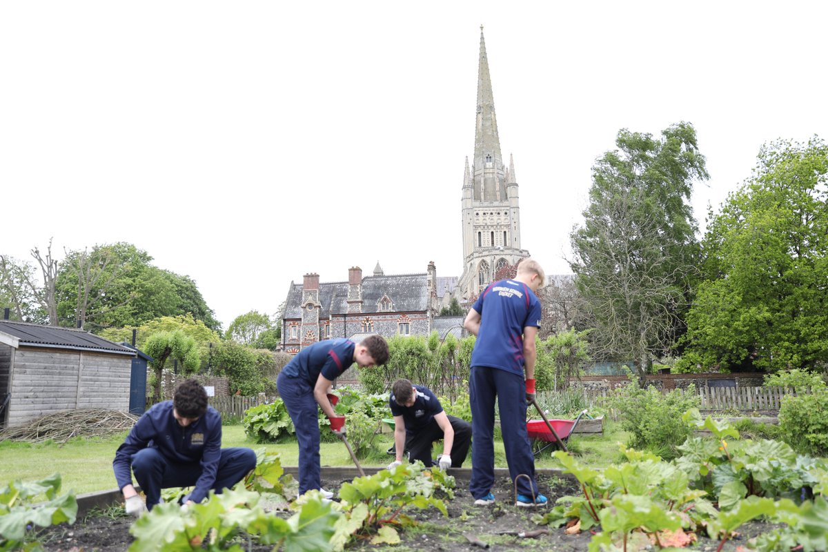 Norwich School Partnerships tweet media