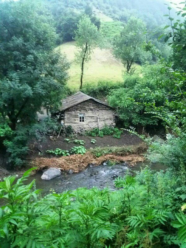 JanetMinasiann's tweet photo. طبيعت مسير گيلده به مشه سوئی
استان #گيلان - گردنه حيران https://t.co/hJXYhilqYH