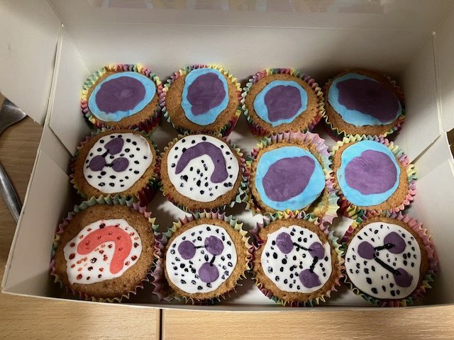 mitchie1971's tweet photo. #biomedicalscienceday2024 #AtTheHeartofHealthcare https://t.co/cVtaZE9L9E