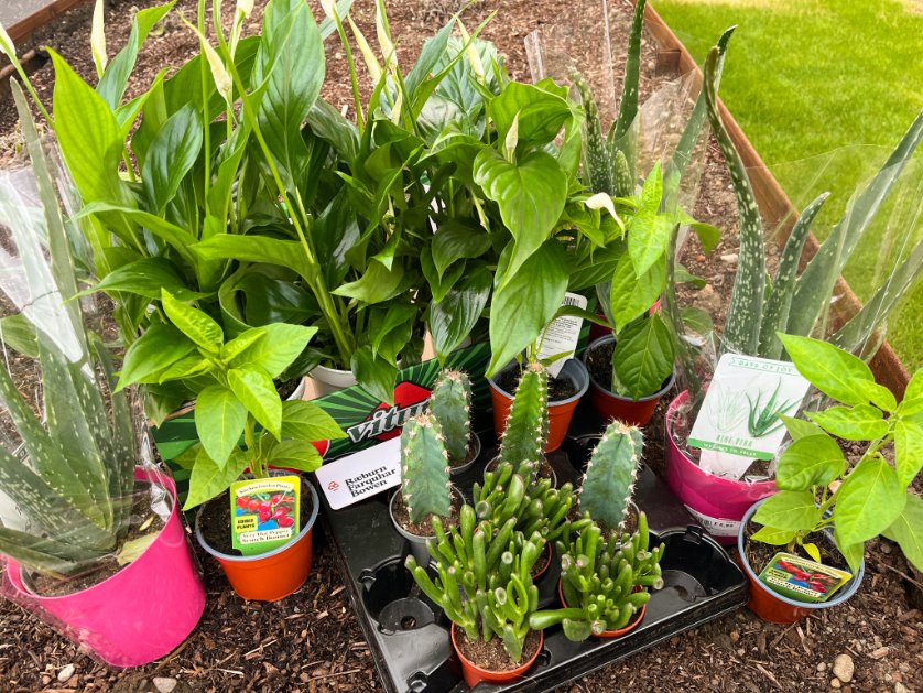 We hope those attending Woodside Nursery's fundraiser on Saturday get a chance to snap up one of the house plants we have donated🌱

It is wonderful to see how Woodside Making Places is evolving and we have enjoyed building relationships with the community that will be using it.