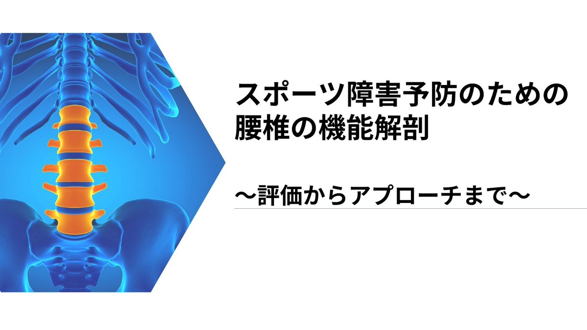 physio_tennis's tweet photo. セラピストの方へ向けたセミナー動画、

『スポーツ障害予防のための腰椎の機能解剖』

を無料プレゼントします🎁

《対象》
スポーツの分野で活動中or活動したいセラピスト

《内容》
��腰椎分離症の病態
・腰椎分離症のプロトコル
・原因と予防のポイント
・椎間関節（pars）のメカニカルストレスの理解
・伸展回旋症候群の理解
・評価兼アプローチ

育成年代のスポーツ障害で代表的な「腰椎分離症」の予防についての講義動画です。

腰椎分離症は発見が遅れるほど難治するので、予防のための知見はスポーツ現場のトレーナーにとって必須といえます。

しかし、一般的には保存療法のプロトコル（医療機関受診後）は多くの知見があるものの、スポーツ現場レベルで予防に特化した知見が学べる場所は多くありません。

今回は、僕自身がスポーツ現場を通して学び、経験してきた予防の理論と実践を45分ほどの講義動画にしてまとめました。

臨床や現場でスポーツに関わる方はもちろん、
今後スポーツの分野で活躍したくて勉強したいセラピストの方にもおすすめです！

《受け取り方法》
① @physio_tennis
をフォロー
② いいね＆リポスト
③ 下記リンクから受け取り
https://t.co/ulmOddHDik

※LINE登録後、30秒くらいのアンケートに答えていただくと自動的にプレゼントを配布します。
（すでにLINE登録・アンケート回答済みの方には追って案内しますので、そちらから受け取りください）