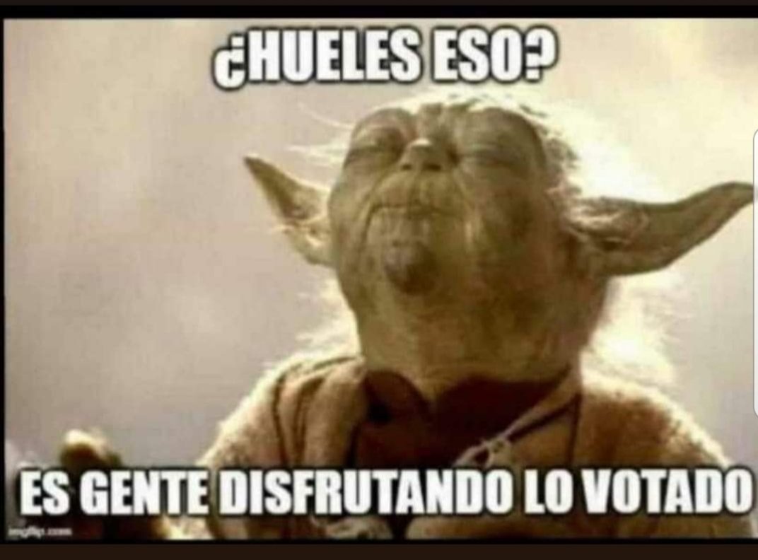 jos_corbin's tweet photo. Y ahora votando a Alvise para corregir errores pasados. https://t.co/cNBDaz79jC