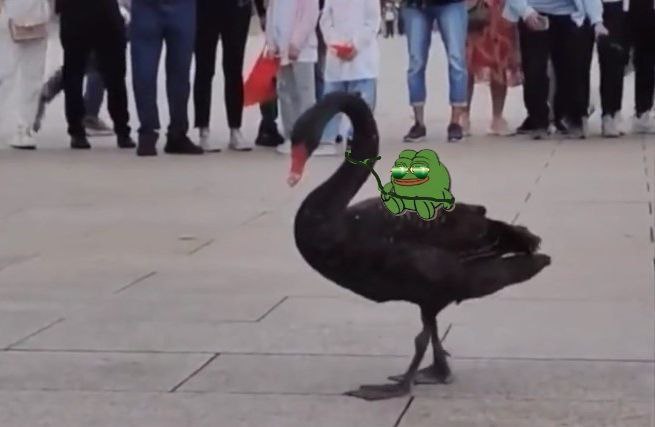 Vankeketh's tweet photo. A natural occurence would be a $PEPE ETF.

The black swan event would be the $VANKEK ETF.

believe in something frens https://t.co/Z7m7yHXcSH