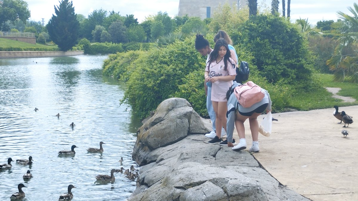 iescomercio tweet media