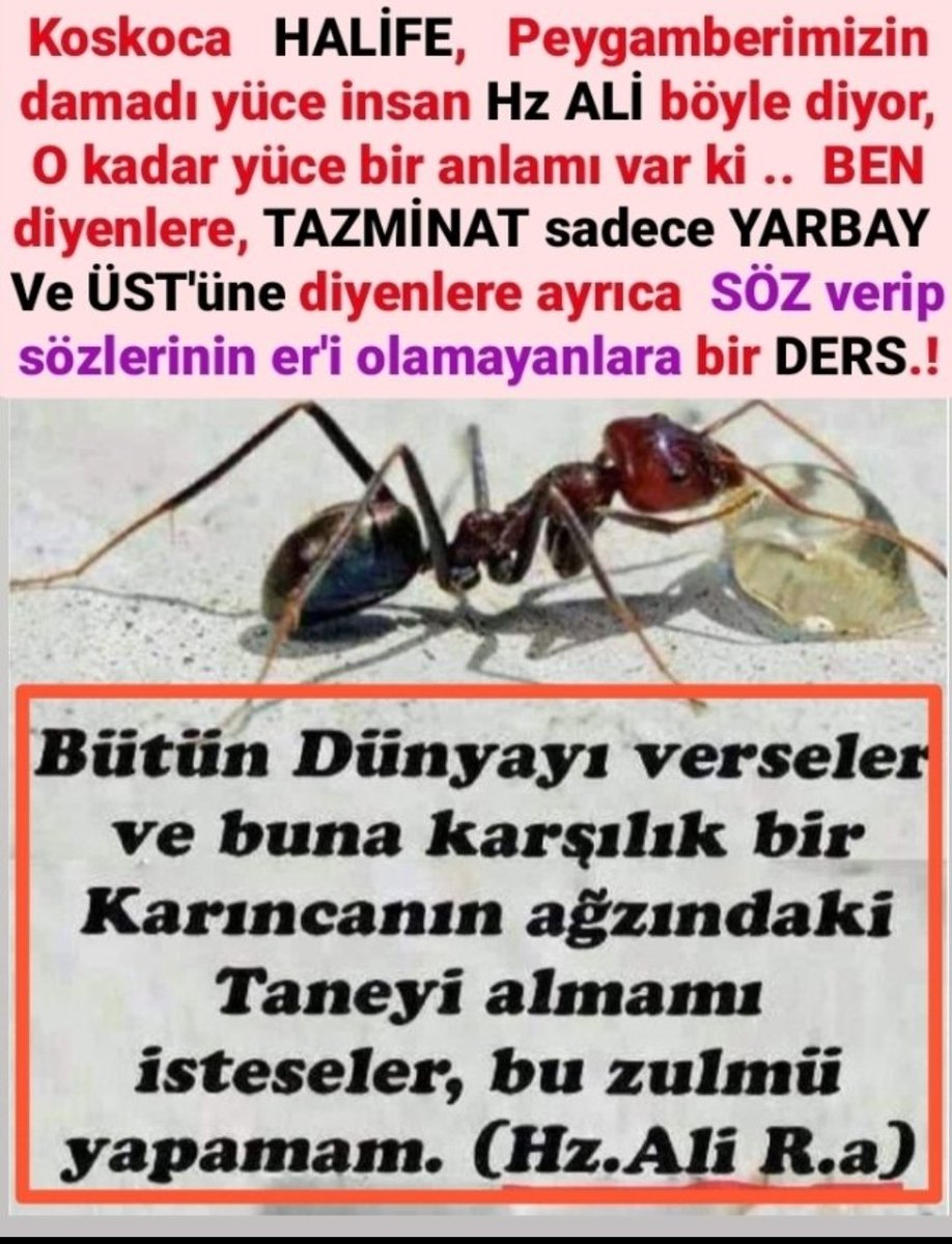 hellsailors10's tweet photo. İP GERİLİNCE KENDİNİ YAY SANIRMIŞ
KAMIŞ SES VERİNCE KENDİNİ NEY SANIRMIŞ
CAHİL ATA BİNİNCE KENDİNİ BEY SANIRMIŞ
#AstsubayTabanHareketi #AstsubaylarHakMücadelesinde #EMEKLİMEMUR #EmekliMemuradaSeyyanenZam #EmeklilerArtıkYeterDiyor https://t.co/vucytQksxR
