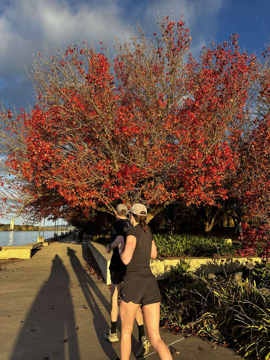 7Dea's tweet photo. 🍂 https://t.co/tCfZJ9irVv