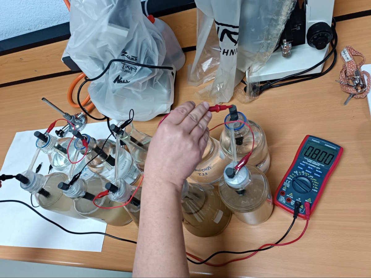 ZABALBURU Ikastetxea tweet media