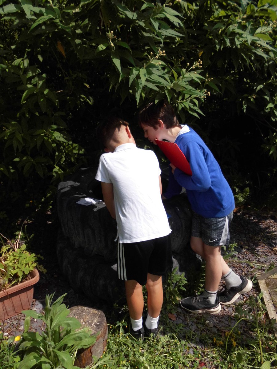 rhosstreet's tweet photo. Blwyddyn 4 have been working together to complete mathematic word problems outside ๐๐ณ #RSSol #RSSnum https://t.co/teWxKHxgEY