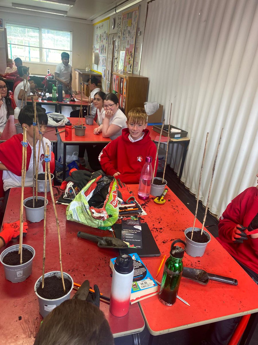 GlasgowFPP's tweet photo. Last week we were at @St_Angelas_Pri with more bean activities; we told them about the Full of Beans Campaign, did some research into beans, planted beans in their growing space, and played the @BeanMealsUK Beantopia board game. 🫘🫘🫘
#glasgowfullofbeans #beanishow https://t.co/m96ckb4Ujg