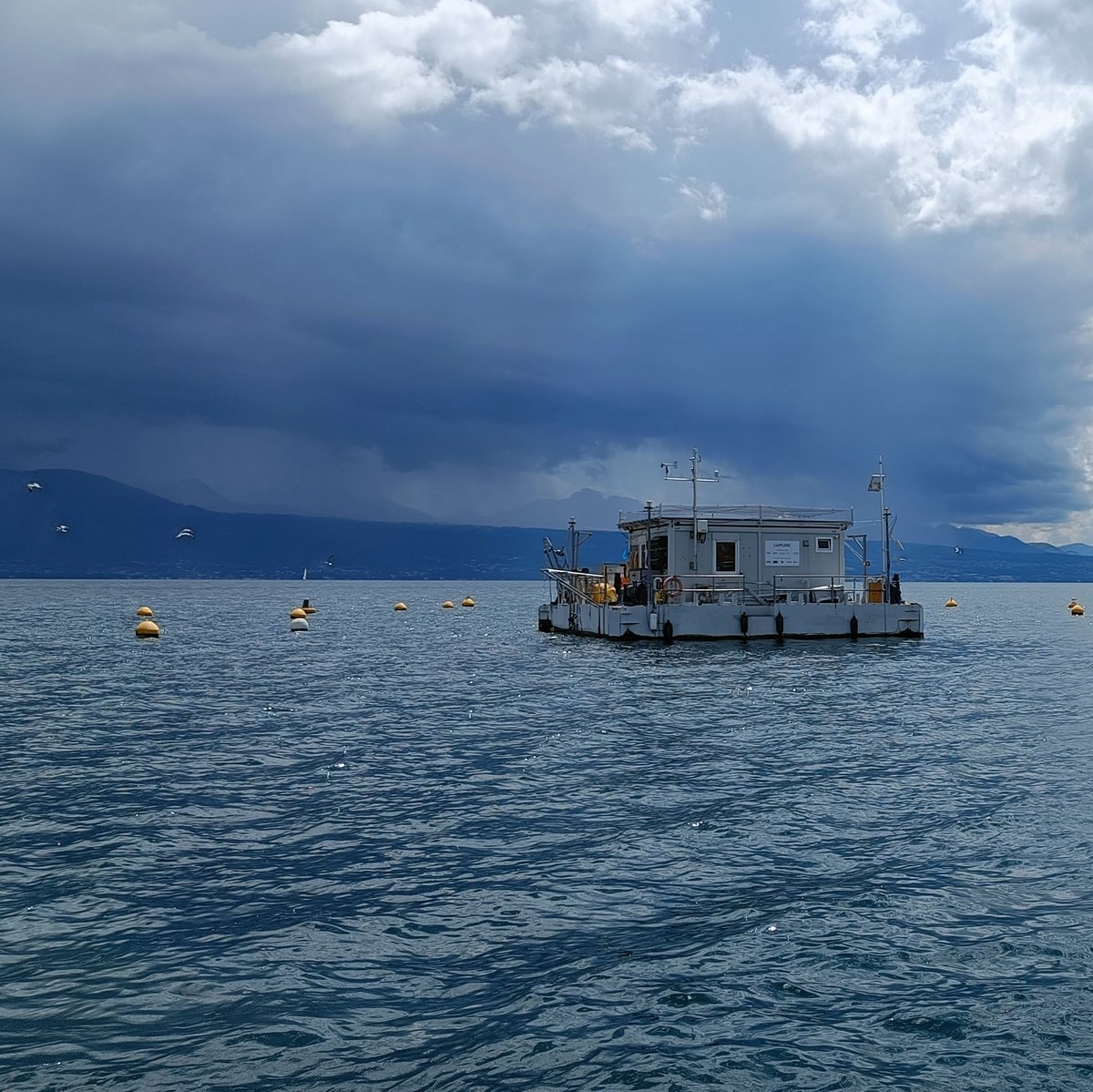 LéXPLORE Léman tweet media