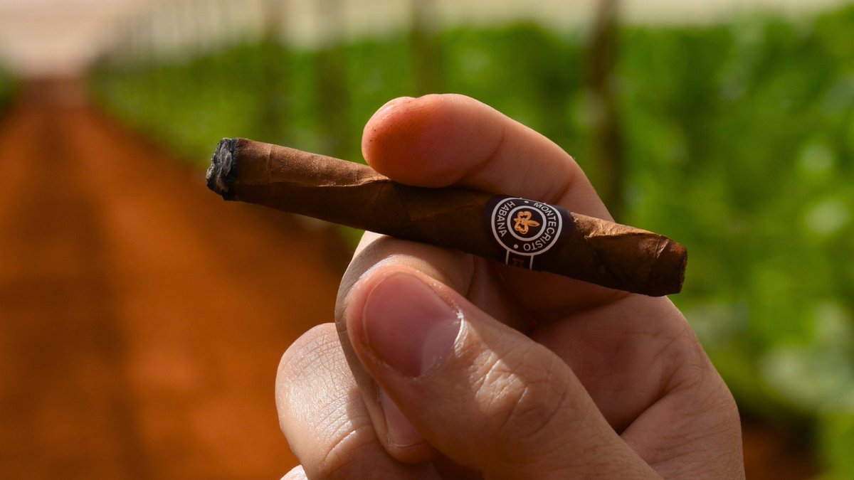cubanminicigars's tweet photo. Esto es sólo para que te hagas una (mini) idea del tamaño que tiene un #Montecristo Short. Para descubrir a qué sabe, tienes que probarlo…🔥
#minicigars #FelizJueves https://t.co/AFSevOqvAp