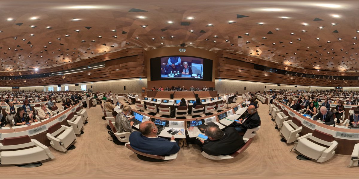 ILOACTRAV's tweet photo. Panoramic photo of the Workers' Group inside Room XIX of the Palais des Nations.
#ILOACTRAV #ILC2024 #CIT2024 https://t.co/6gNYL07EkY