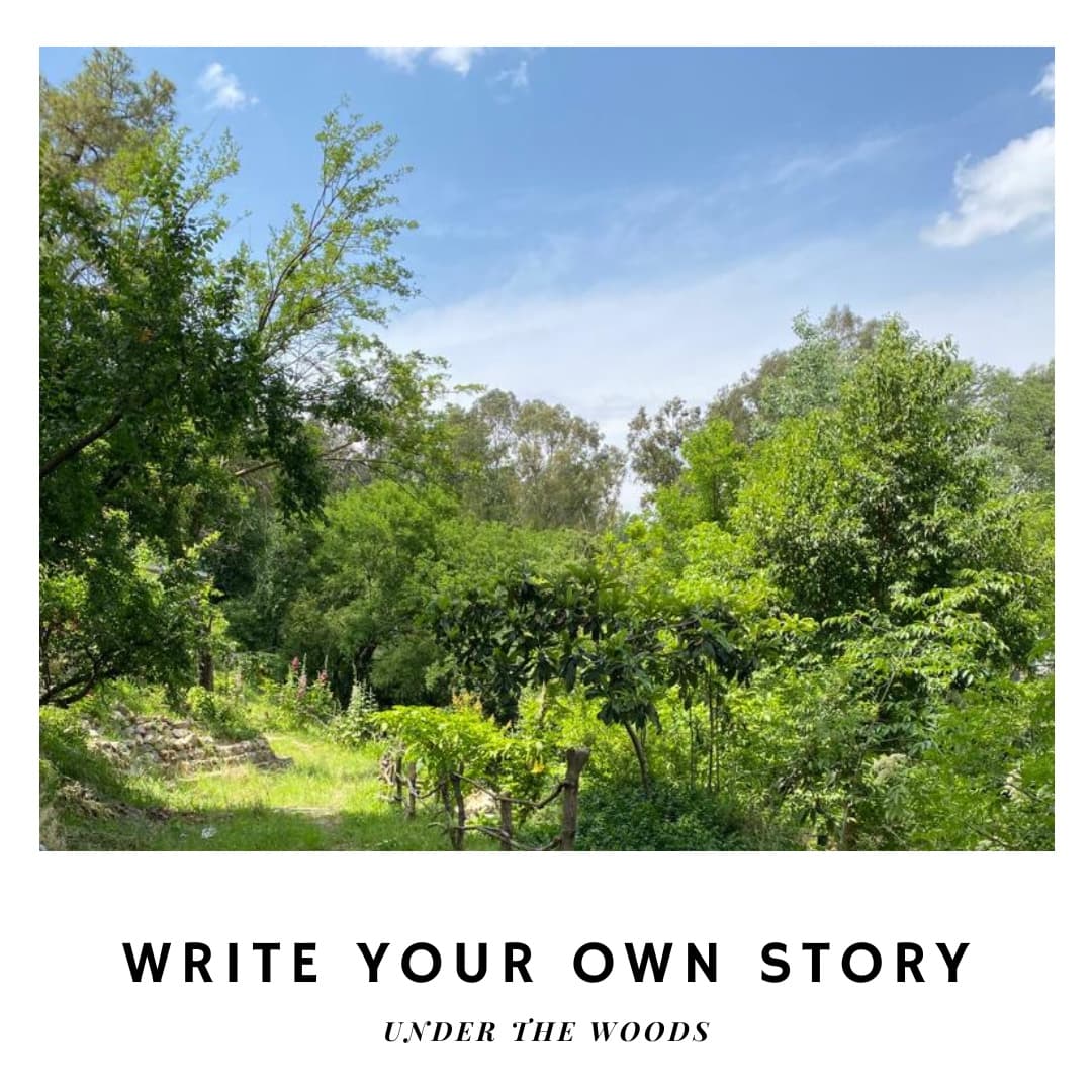 Tum hansti achi lagti ho novel by Farhat Ishtiaq – Dua Book Palace, image size:1080x1080