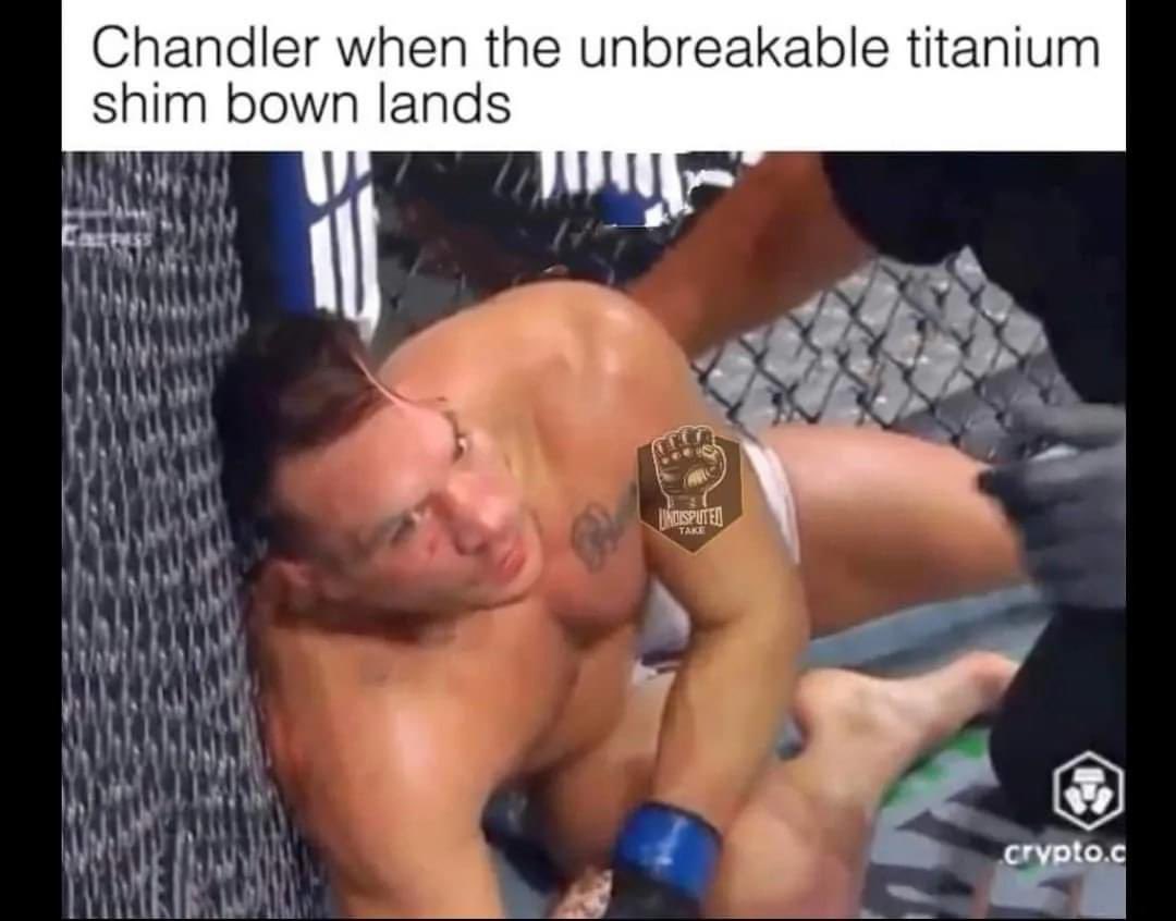 MrTestoestrogen (@mrtestoestrogen) on Twitter photo 