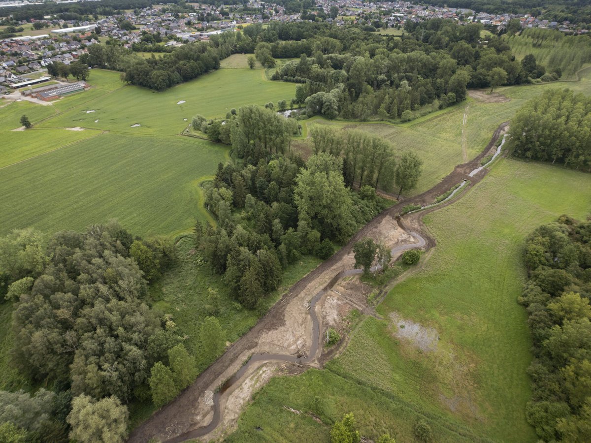 De Munsterbeek meandert weer door @StadBilzen 🌊
Over 850 meter heeft de beek haar meanderende vorm terug. Dit verhoogt de ecologische waarde en maakt het landschap klimaatrobuuster. #klimaatrobuust #natuurherstel #biodiversiteit