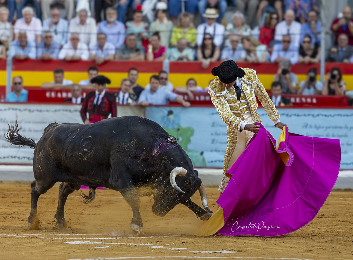Perera en Granada 
Feria del Corpus 2024.
📸<a href="/CapotedePasion/">Capote De Pasión</a> <a href="/PRGtoros/">Victoriano del Río</a> 
<a href="/InfoMAPerera/">Miguel Ángel Perera</a> <a href="/miguelangperera/">Miguel Ángel Perera</a>