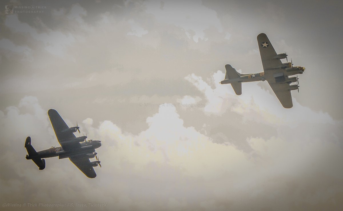 MissingATrickMedia tweet media