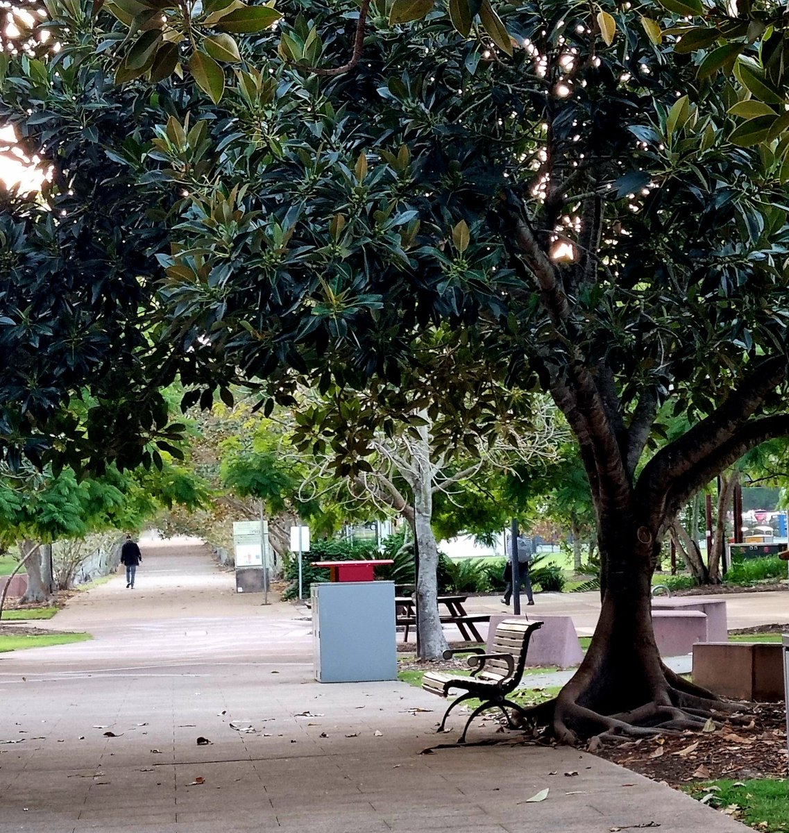A walk but also an immersion in nature. <a href="/springfieldQLD/">Greater Springfield</a>  <a href="/unisqaus/">University of Southern Queensland</a>