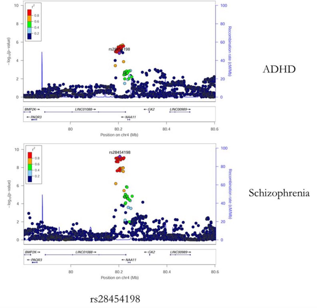 Boris Chaumette (@borischaumette) on Twitter photo Based on our SNP colocalization analyses, genetic variants associated with ADHD are linked to schizophrenia (25.0%) and bipolar disorder (8.3%) and may explain the shared heritability.
Congratulations to the co-authors, especially <a href="/HugoPeyre/">Hugo Peyre</a>!
link.springer.com/article/10.100… Based on our SNP colocalization analyses, genetic variants associated with ADHD are linked to schizophrenia (25.0%) and bipolar disorder (8.3%) and may explain the shared heritability.
Congratulations to the co-authors, especially <a href="/HugoPeyre/">Hugo Peyre</a>!
link.springer.com/article/10.100…