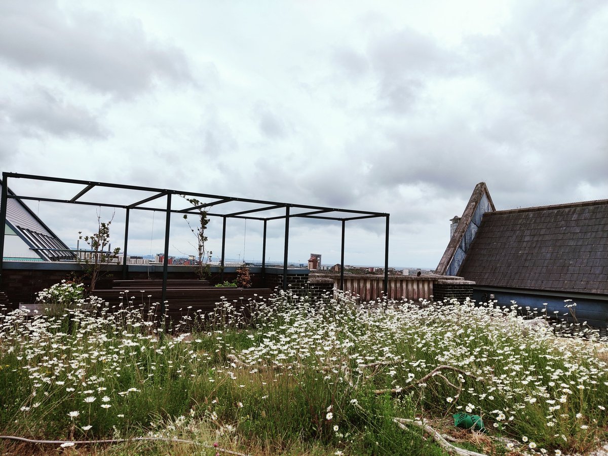 Fran Rolfe tweet media