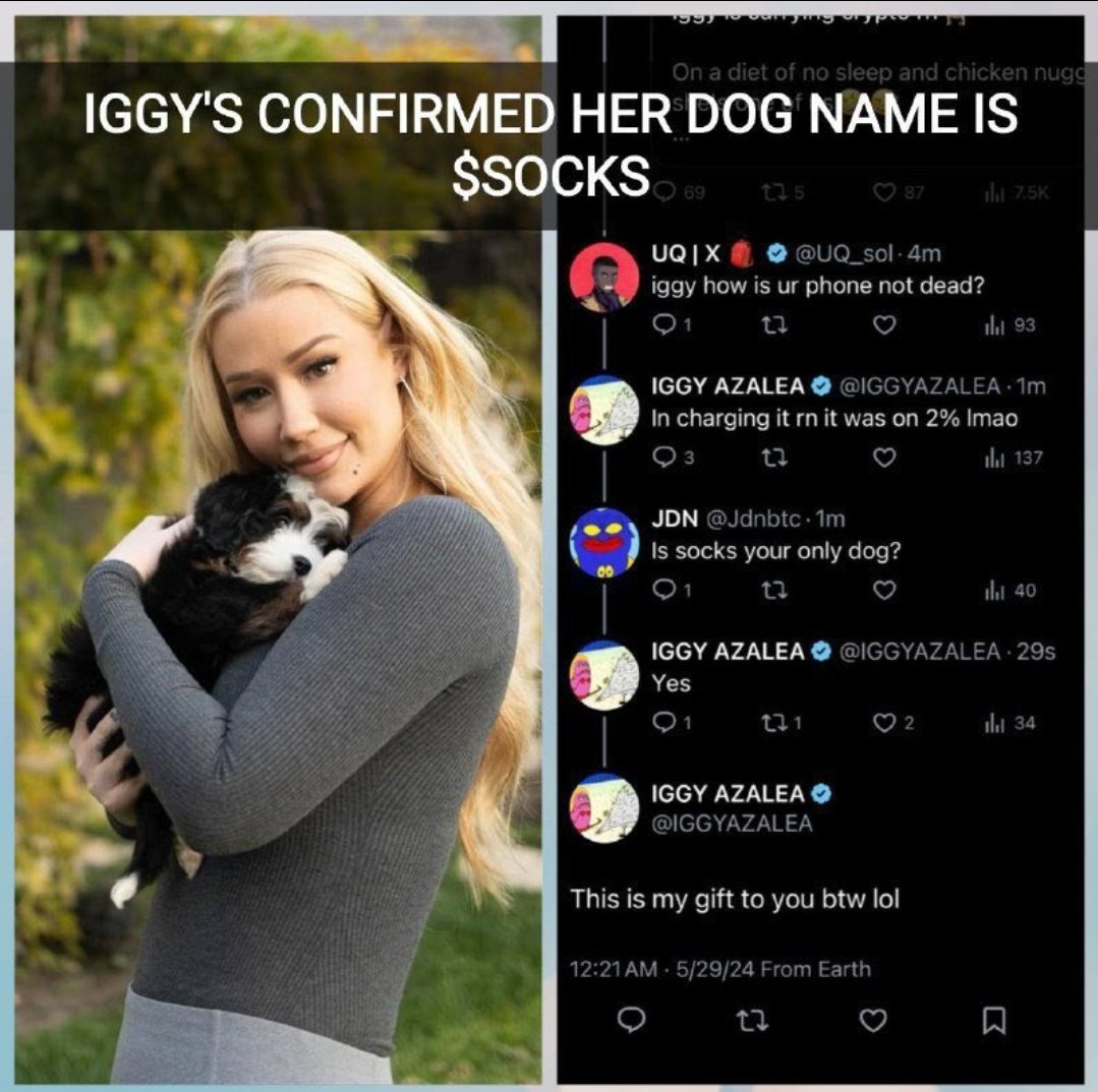 Franklin315_'s tweet photo. @mycomputer $socks.
$mothers dog https://t.co/5HbAMU8Tlk