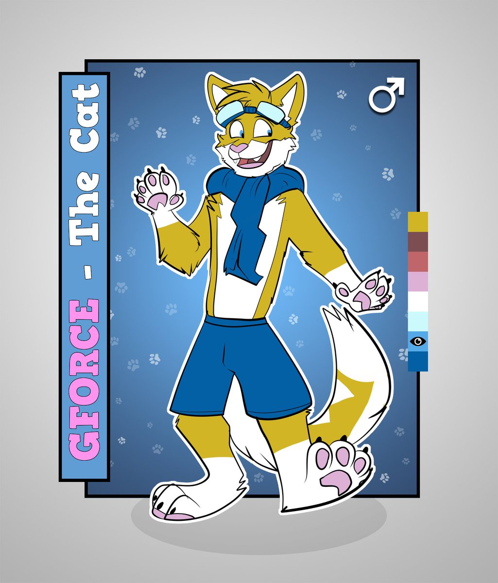 SmallGayCat tweet picture