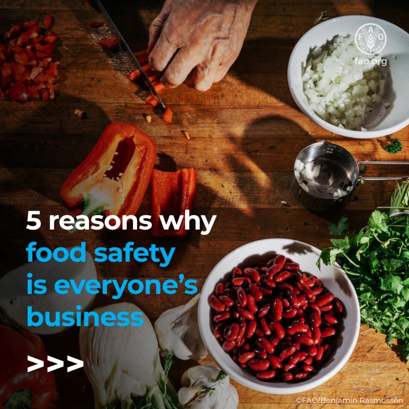 FAO's tweet photo. 5⃣ reasons why food safety is everyone's business. 

#WorldFoodSafetyDay #FoodSafety