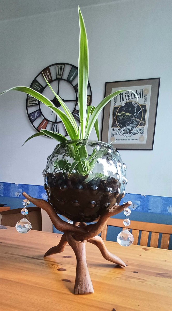SatanenPerkele's tweet photo. The magic kitchen plant can see your future โจ๐ชดโจ๏ธ
#kitchen #plant #magicplant #magic #magickitchen #Satanen #lordoftherings #harrypotter #wizardingworld #wizard https://t.co/eYEoWAdOwu