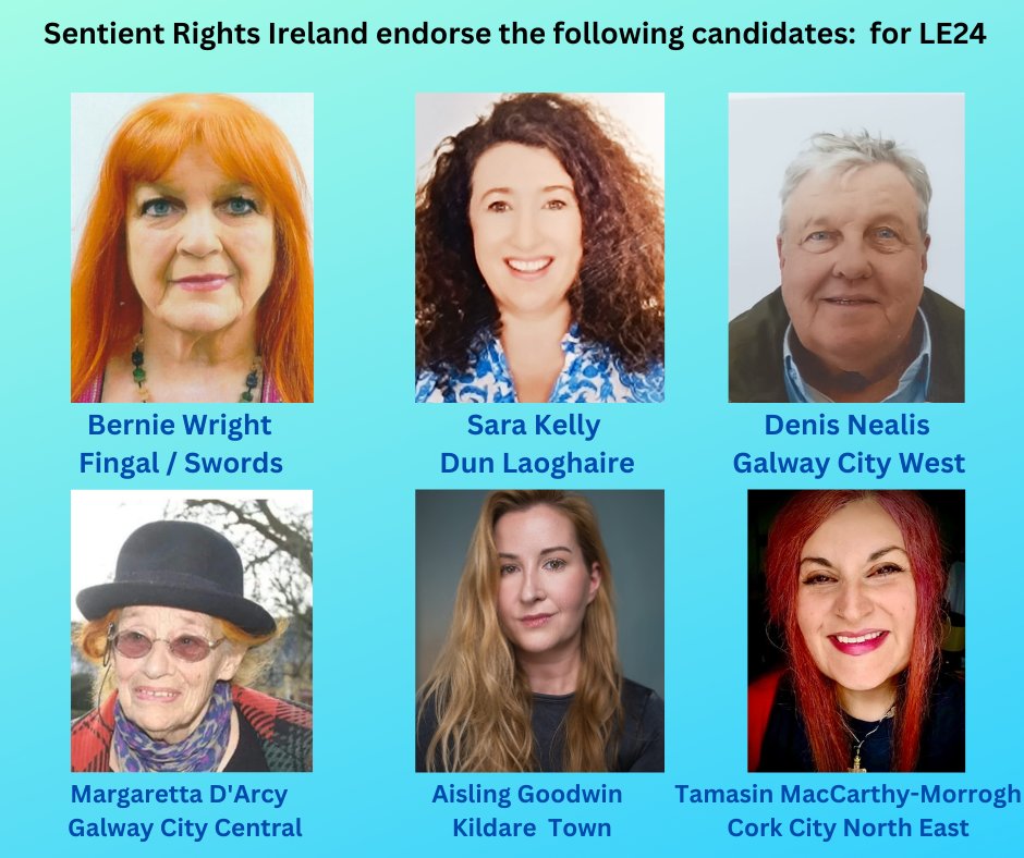 irelandanimal1's tweet photo. Please vote tomorrow! #animalrights #vegan #sentientrights #humanrights #environment https://t.co/yAd4PpSrIi