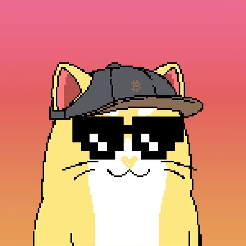 Liberty Cats tweet media