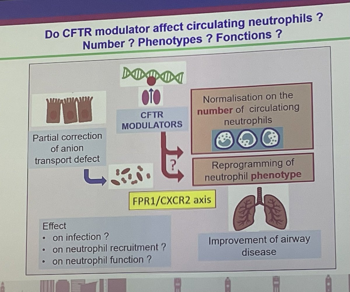 Fantastic talk on #neutrophil subsets and #ETI in #CF #ecfs2024 <a href="/ECFSConference/">European Cystic Fibrosis Society</a>