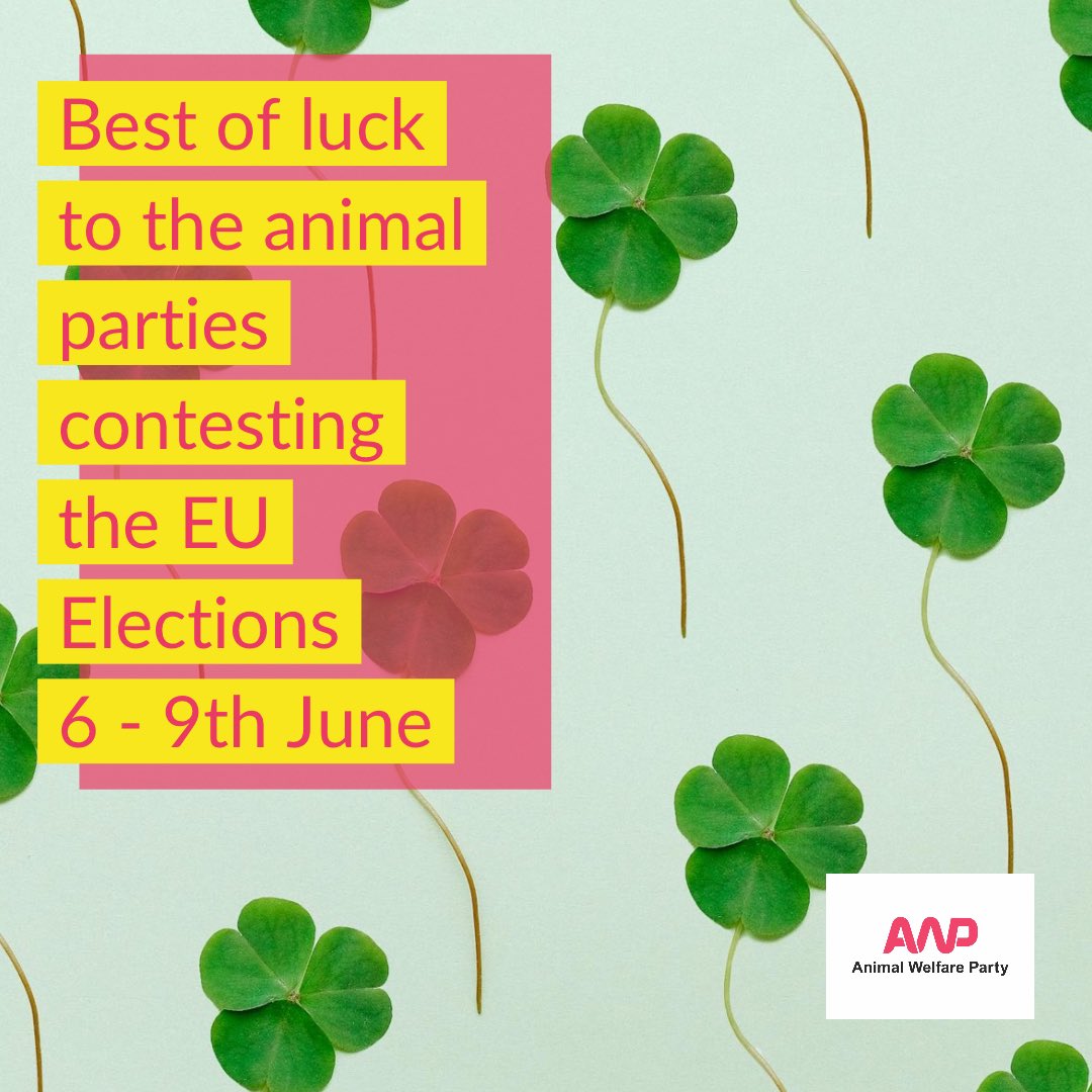 Best of luck to the animal parties contesting the EU Elections 6 - 9th June. They have one clear message “animals can’t vote but you can”. 💚

🇫🇷 <a href="/PartiAnimaliste/">Parti animaliste</a>
 
🇪🇸 <a href="/PartidoPACMA/">PACMA</a>

🇵🇹 <a href="/Partido_PAN/">PAN</a>

🇩🇪 <a href="/Tierschutzparte/">PARTEI MENSCH UMWELT TIERSCHUTZ - Tierschutzpartei</a>

🇳🇱 <a href="/PartijvdDieren/">Partij voor de Dieren</a>

🇨🇾 <a href="/AnimalPartyCY/">Animal Party Cyprus</a>

#TeamPlanet