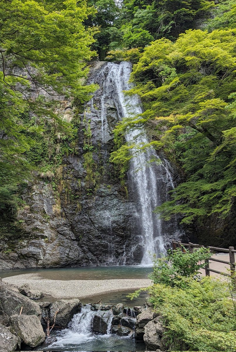 箕面の滝✨✨ 晴天ではなかったけど滝道の緑が綺麗🌿 勝尾寺のだるまの
