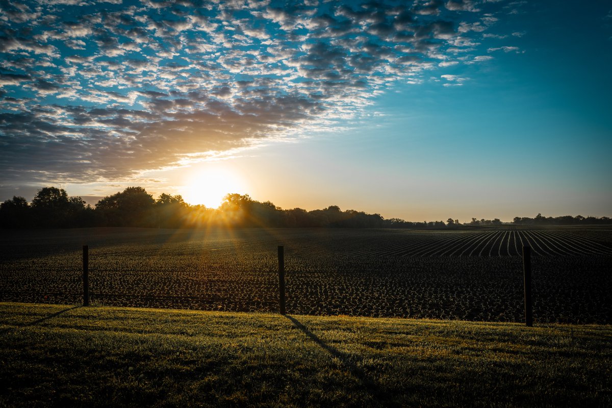 Torrey Dawley tweet media