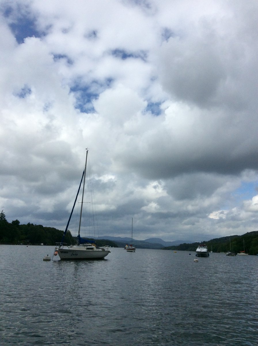 The Whartons Primary tweet media